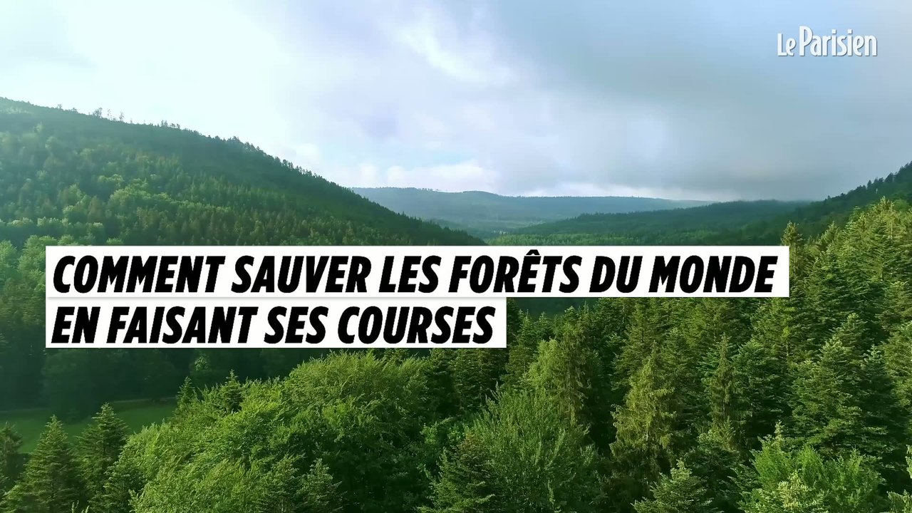 Comment sauver les forêts du monde en faisant ses courses