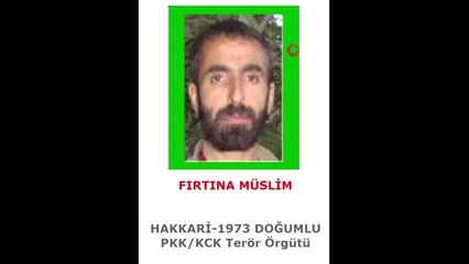 1 Milyon TL Ödülle Aranan Terörist Etkisiz Hale Getirildi