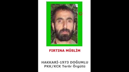 1 milyon TL ödülle aranan terörist etkisiz hale getirildi