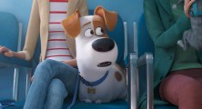 Comme des bêtes 2 Bande-annonce VF (Animation, Comédie 2019) Tiffany Haddish, Harrison Ford