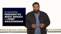 Le nouveau président du Brésil menace la forêt amazonienne - Le petit RDV du du 07/11  - CANAL+