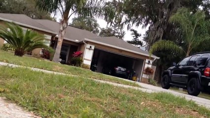 Un énorme crocodile se cache dans le caniveau !