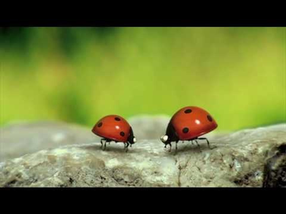 Minuscule - Season 1 (20 minutes Compilation) #1