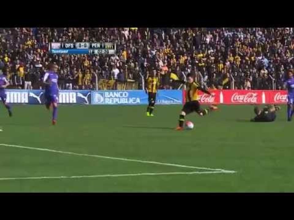 Ref gets fouled