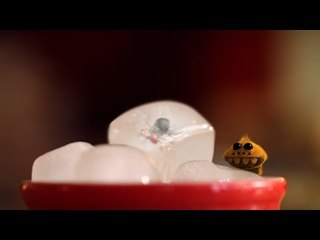 Minuscule - Refrigerated / Frigo (Season 2)