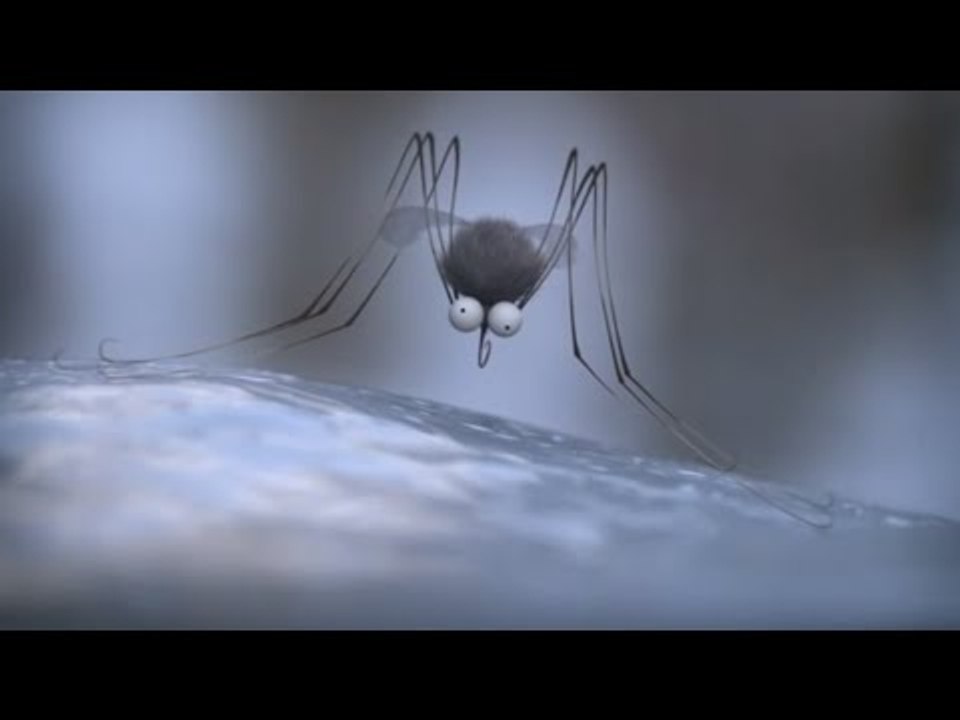 Minuscule - The mosquito of the caribbean/ Moustique des Caraïbes (Season 2)
