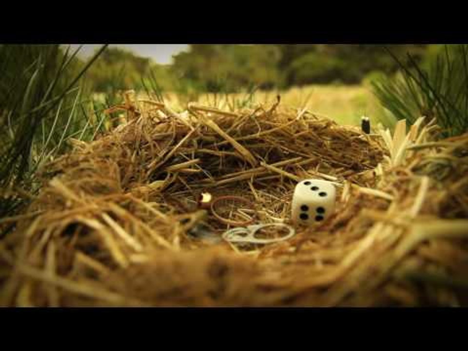 Minuscule - Season 2 (Compilation 15 Minutes) #2