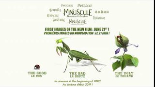 NEW : THE TEASER OF THE NEW FILM MINUSCULE