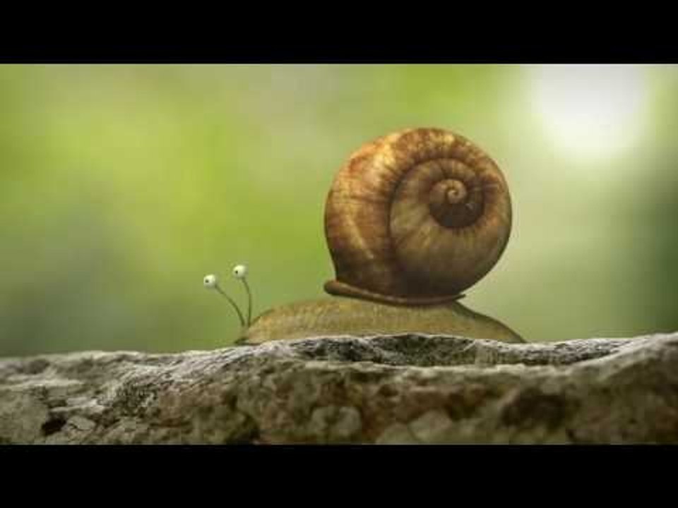 Minuscule - Season 2 (20 minutes Compilation) #4