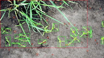 روبوتات الحقل: مستقبل الزراعة الذكية 🚜