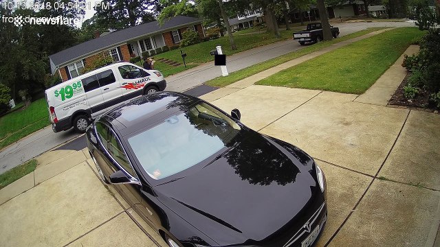 Instant karma for careless delivery driver when he steps in dog poop