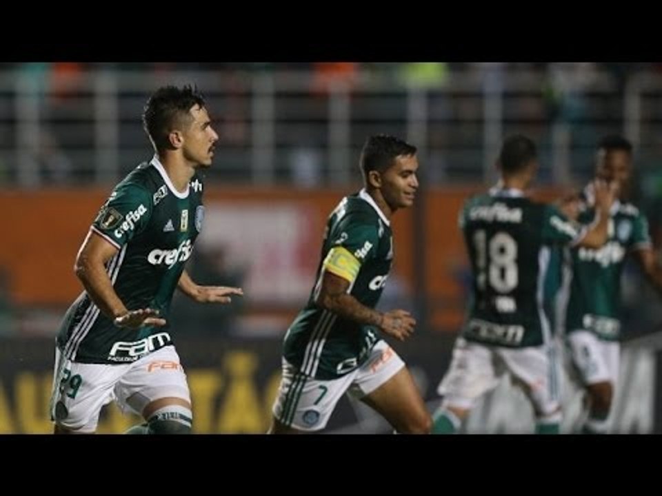Palmeiras 3:0 Novorizontino
