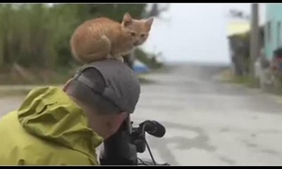 Kameramanın kedi ile imtihanı