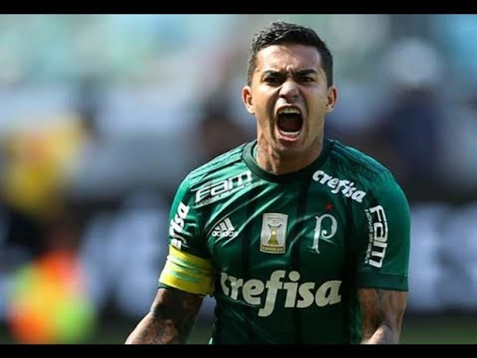 Palmeiras 2:0 Avaí