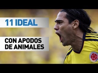 11 ideal | Apodos de animales