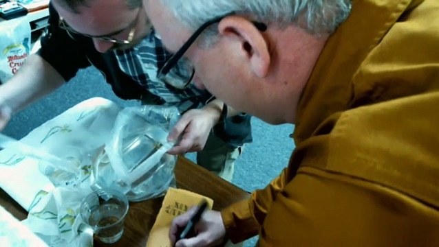 EPCAMR's Brook Trout Tank Live Stream 11/7/18 Sorting the Eggs