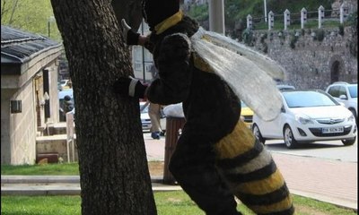 Bu arı Canan Karatay’ı sokmak istiyor