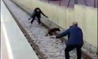 Metroda köpek kurtarma operasyonu