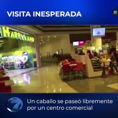 Visita inesperada
