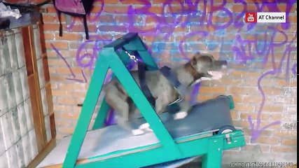 Amazing Homemade Inventions 2018 #65