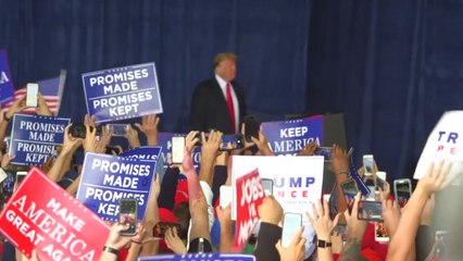 [취재N팩트] 美 의회 권력 '분점'...트럼프 독주에 제동 / YTN