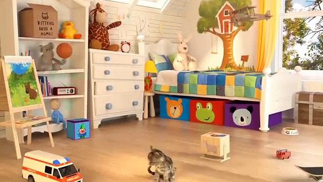 FUNNY CATS with Ambulance FOR CHILDREN. České animované detske pohádky pro děti a nejmenší + videa pro deti po česky od