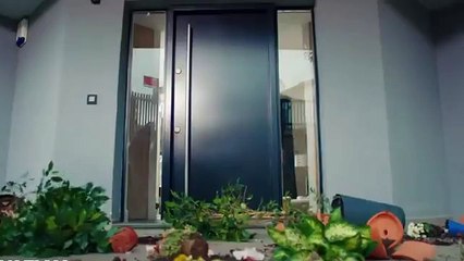 مسلسل التفاحة الممنوعة الحلقة 22