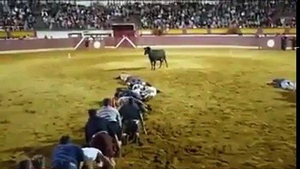 Black buffalo failed in hitting to men during a game