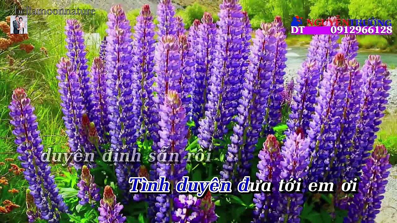karaoke ThienDuyenTienDinhQuocThanhHaThanhXuan