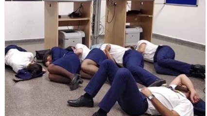 '맨바닥 취침' 사진 연출한 항공사 승무원 6명 해고 / YTN