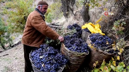 Hizan’da bir asırlık gelenekle pekmez yapılıyor