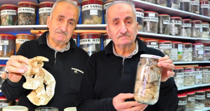 Birçok Hastalığa İyi Geldiğine İnanılan Yılan Derisi, Büyük Rağbet Görüyor