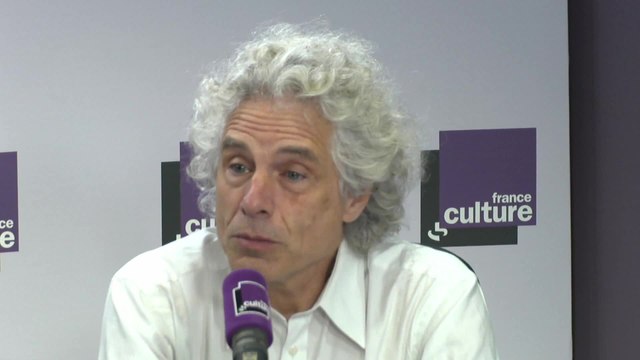 Steven Pinker : On peut être optimiste et le progrès existe bel et bien