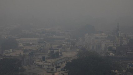 Delhi pollution campaigners confronted by political apathy