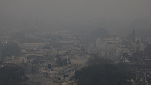 Delhi pollution campaigners confronted by political apathy