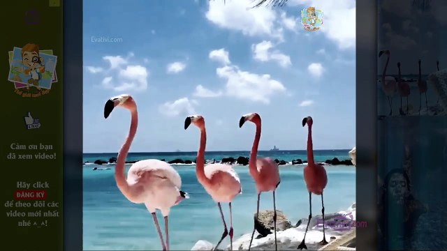 1. Du lịch khám phá - tập 1 - cảnh đẹp bốn phương - p1