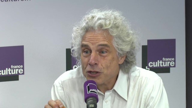 Steven Pinker : Si les bonnes nouvelles ne sont jamais données ça déforme la perception des gens