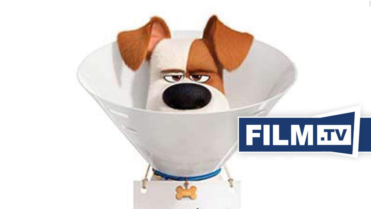 Pets 2 Trailer Deutsch German (2018)