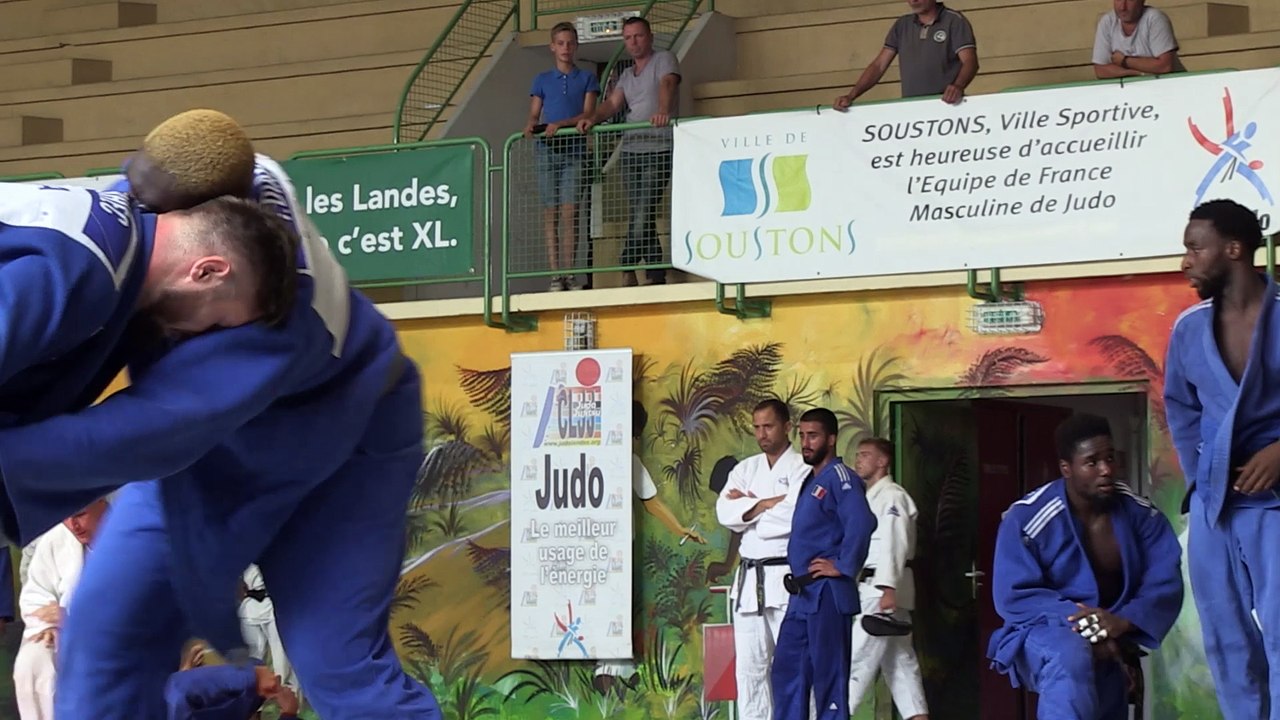 Les Landes, terre de Judo