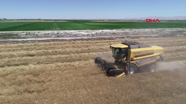 Konya Buğday Ambarı Konya Ovası, Arpa Ambarı Olma Yolunda İlerliyor