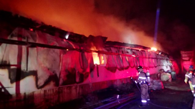 홍성 돼지 농장서 불...1억 9천만 원 피해 / YTN