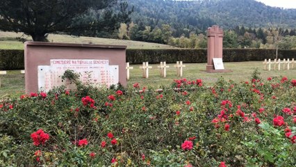 Senones, en zone occupée, attendait l'armistice et le retour des troupes françaises avec la plus grande impatience