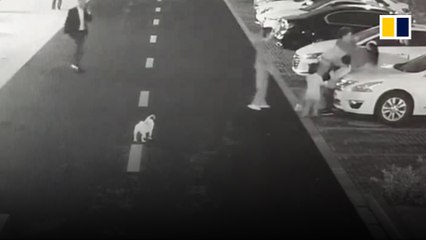 Mother beaten up for protecting children from unleashed dog