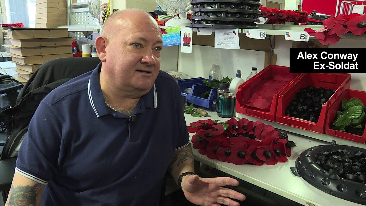 Mohnblüten erinnern an Weltkriegstote