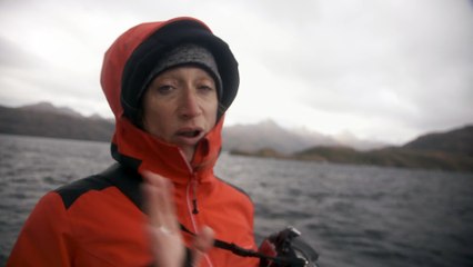 [Extrait 1] -  L’aventure continue avec Céline Cousteau - Baleines à bosse - le 03/12