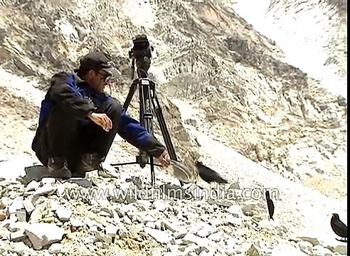 Yellow billed Chough sits on our tripod during Everest expedition