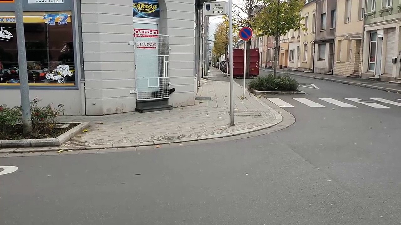 Chat vs Rat