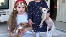 Ölüme terk edilen yavru köpeklere çocuklar sahip çıktı