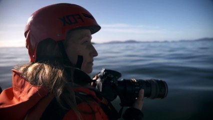 [Extrait 2] -  L’aventure continue avec Céline Cousteau -  Baleines bleues  - le 03/12