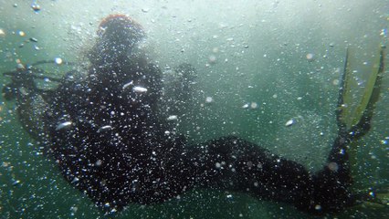 [Extrait 3] -  L’aventure continue avec Céline Cousteau -  Otaries - le 03/12